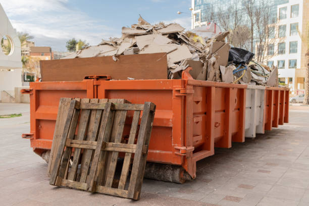 Best Professional Junk Removal  in Denison, IA